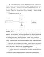 Vidaus kontrolės organizavimas imonėje "Agrowill"  11 puslapis
