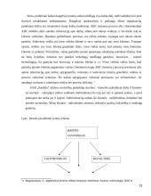 Vidaus kontrolės organizavimas imonėje "Agrowill"  13 puslapis