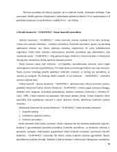 Vidaus kontrolės organizavimas imonėje "Agrowill"  16 puslapis