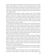 Vidaus kontrolės organizavimas imonėje "Agrowill"  18 puslapis