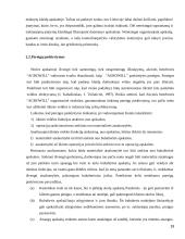 Vidaus kontrolės organizavimas imonėje "Agrowill"  19 puslapis