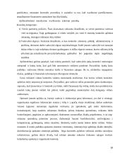 Vidaus kontrolės organizavimas imonėje "Agrowill"  10 puslapis