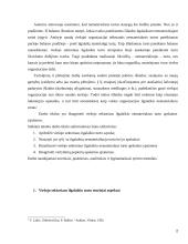 Viešojo sektoriaus ilgalaikio turto apskaita  2 puslapis