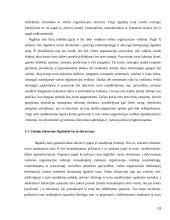 Viešojo sektoriaus ilgalaikio turto apskaita  13 puslapis