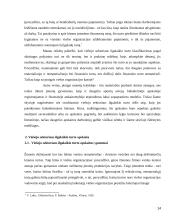 Viešojo sektoriaus ilgalaikio turto apskaita  14 puslapis