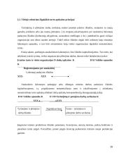 Viešojo sektoriaus ilgalaikio turto apskaita  16 puslapis