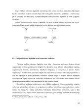 Viešojo sektoriaus ilgalaikio turto apskaita  20 puslapis