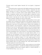 Viešojo sektoriaus ilgalaikio turto apskaita  5 puslapis