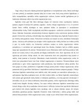 Viešojo sektoriaus ilgalaikio turto apskaita  8 puslapis