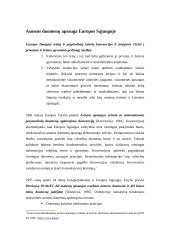 Asmens duomenų apsaugos problemos Lietuvoje 3 puslapis