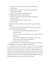 Duomenų bazių rinkodara 3 puslapis