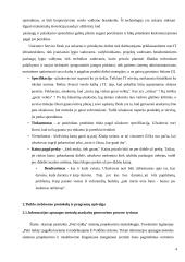 Informacijos apsaugos metodų tyrimas. Referatas 4 puslapis