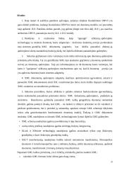 Objektinės duomenų bazės. Referatas 19 puslapis