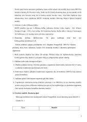 Objektinės duomenų bazės. Referatas 4 puslapis