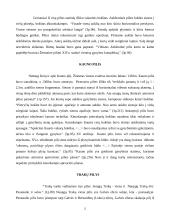 Lietuvos pilių architektūra 2 puslapis