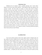 Lietuvos pilių architektūra 4 puslapis