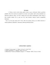 Lietuvos pilių architektūra 6 puslapis