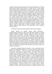Elektroninės sutartys: tradicinis įstatymas ir šiuolaikinės problemos 6 puslapis