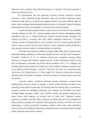 Elektroninės sutartys, Referatas 13 puslapis