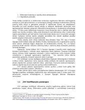  ES  ir JAV elektrinių sutarčių reguliavimo vystymosi perspektyvų lyginamoji analizė 2 puslapis