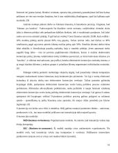 Elektroninės komercijos kainodara 16 puslapis