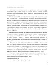 Elektroninės komercijos kainodara 8 puslapis