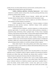 Interneto įtaka pirkėjų ir pardavėjų santykiuose 13 puslapis