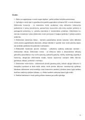 Interneto įtaka pirkėjų ir pardavėjų santykiuose 18 puslapis