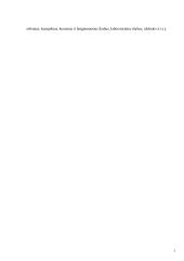 Interneto įtaka pirkėjų ir pardavėjų santykiuose 3 puslapis