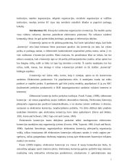 Interneto įtaka pirkėjų ir pardavėjų santykiuose 5 puslapis