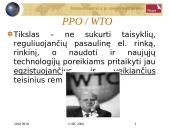 Elektroninės komercijos teisės šaltiniai 13 puslapis