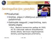 Elektroninės komercijos teisės šaltiniai 4 puslapis