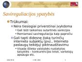 Elektroninės komercijos teisės šaltiniai 5 puslapis