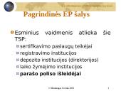 Elektroninio parašo reglamentavimo problemos 11 puslapis