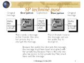 Elektroninio parašo reglamentavimo problemos 12 puslapis