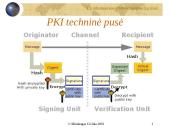 Elektroninio parašo reglamentavimo problemos 13 puslapis