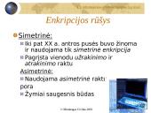 Elektroninio parašo reglamentavimo problemos 4 puslapis