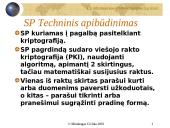 Elektroninio parašo reglamentavimo problemos 6 puslapis
