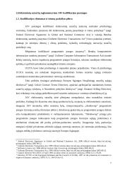 Elektroninės sutartys 7 puslapis