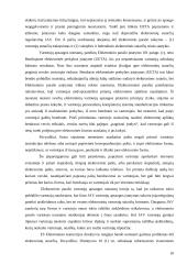 Elektroninės sutartys 10 puslapis