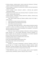 Elektroninės informacijos saugumas. Duomenų apsauga 13 puslapis
