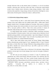 Elektroninės informacijos saugumas. Duomenų apsauga 9 puslapis