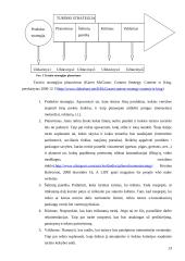 E- konsultacinių paslaugų verslui formavimas 13 puslapis