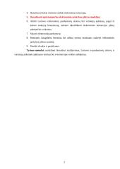 Elektroninė-internetinė prekyba 2 puslapis