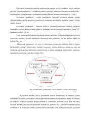 Elektroninė-internetinė prekyba 11 puslapis