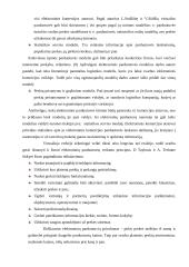 Elektroninė-internetinė prekyba 13 puslapis