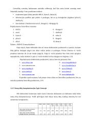 Elektroninė-internetinė prekyba 16 puslapis