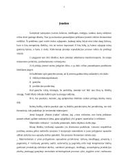 Materialiniai ištekliai ir jų poreikio nustatymas gamybinėje įmonėje 3 puslapis