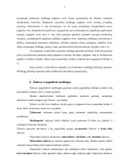 Materialiniai ištekliai ir jų poreikio nustatymas gamybinėje įmonėje 4 puslapis