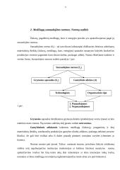 Materialiniai ištekliai ir jų poreikio nustatymas gamybinėje įmonėje 6 puslapis